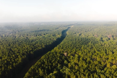 0 Grice Rd, Columbia, MS 39429 - photo 2