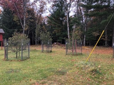 Orchard