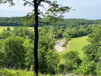 IMG_2930