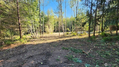 5742 Duane Ln NW, Olympia, WA 98502 - photo 3