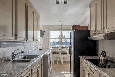 The Trianon unit 509, Bala Cynwyd, PA 19004 - photo 5