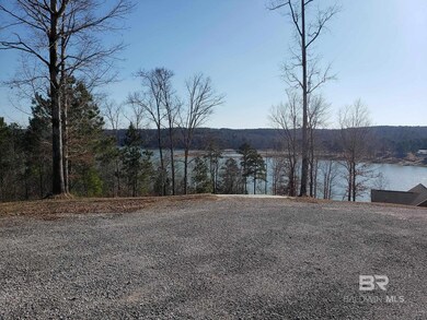 0 Stillwater Ln unit 13 385461, Double Springs, AL 35553 - photo 4