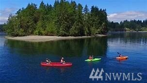 10416 Matthews Way, Anderson Island, WA 98303 - photo 5