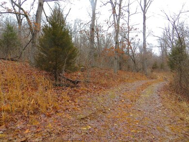 000 Ridgehaven Rd, Mammoth Spring Township, AR 72554 - photo 2