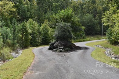 119 Lago Vista Dr unit 2, Eldorado, NC 28127 - photo 2