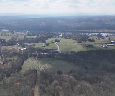 2465 Denton Ferry Rd, Cotter, AR 72626 - photo 2