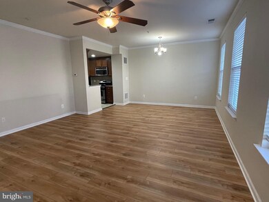 13408 Bluebeard Terrace, Clarksburg, MD 20871 - photo 3