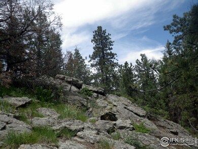 0 Davis Ranch Rd unit 737586, Bellvue, CO 80512 - photo 2