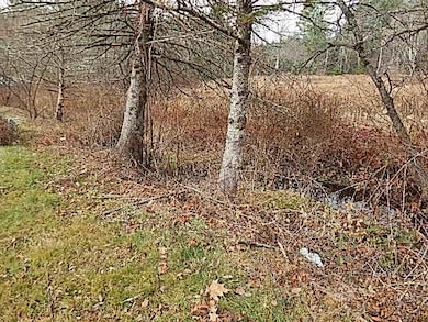 21 Clark Rd, Winchester, NH 03470 - photo 5