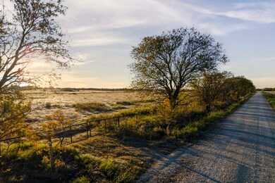 Tbd Cr 218, Gainesville, TX 76240 - photo 5