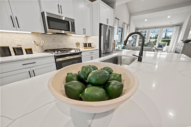 2705 Elowen Ln unit 113A, Longs, SC 29568 - photo 4