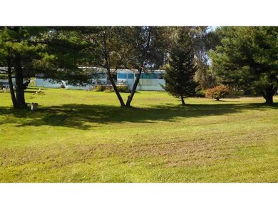 Yard/Garden.