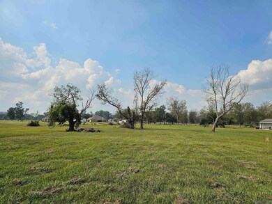 38552 Louisiana 942, Darrow, LA 70725 - photo 2