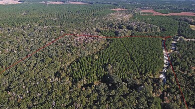 0 Wildlife Way unit 1085697, Callahan, FL 32011 - photo 5