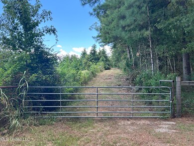 001 Farr Rd, Bolton, MS 39041 - photo 6