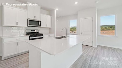 4100 Summey Trail, Lincolnton, NC 28092 - photo 6