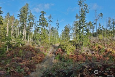 2761 Silent Cedars Ln, Langley, WA 98260 - photo 6