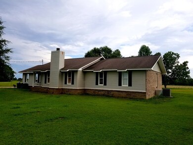 3208 State Highway 134 E, Headland, AL 36345 - photo 2