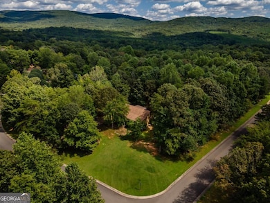 90 Chimney Sweep Trail, Fairmount, GA 30139 - photo 4