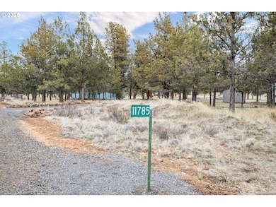 11785 SW Meadows Ln, Culver, OR 97734 - photo 6