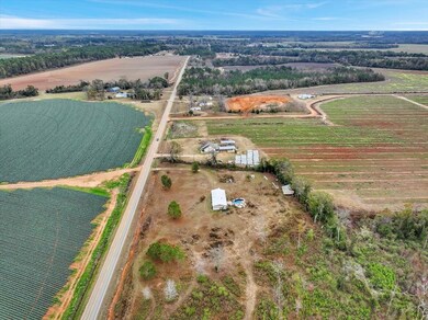 486 Chapman Rd, Moultrie, GA 31788 - photo 7