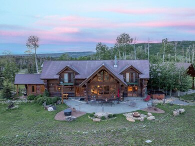 706 Hayden View Trail, Placerville, CO 81320 - photo 6