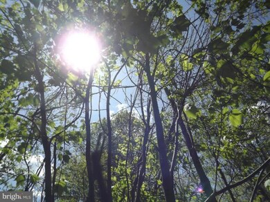 0 Big Spring Rd unit 1003964598, Doylesburg, PA 17219 - photo 4