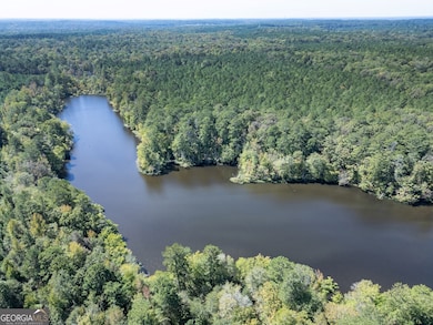 8841 Highway 11 S, Monticello, GA 31064 - photo 6