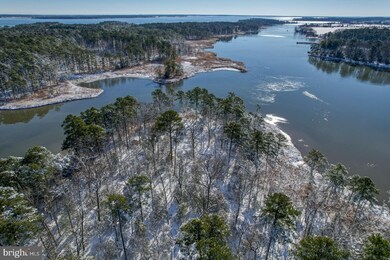 3779 Eastern Neck Rd, Rock Hall, MD 21661 - photo 4