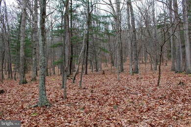 529 Posy Hill Rd, Lost City, WV 26810 - photo 2