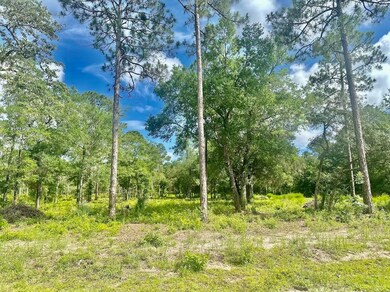 xx Ramsay Way, Panacea, FL 32346 - photo 4