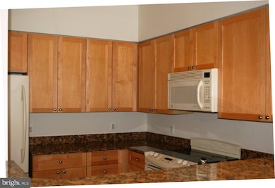 3101 N Hampton Dr unit 109, Alexandria, VA 22302 - photo 3
