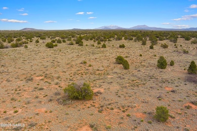 50178020d Kaibab Rd, Williams, AZ 86046 - photo 2
