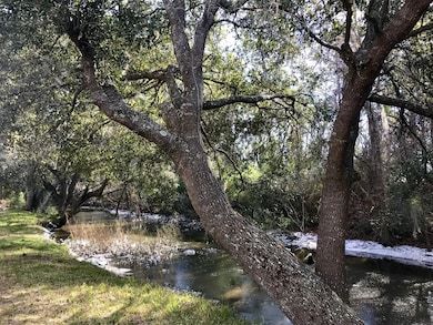 2907 River Rd, Johns Island, SC 29455 - photo 4