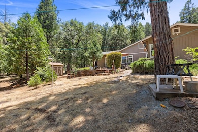 20371 Shake Ridge Rd, Volcano, CA 95689 - photo 7