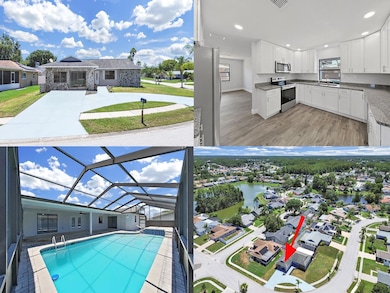 4652 Swallowtail Dr, New Port Richey, FL 34653 - photo 5