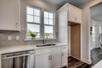 Kitchen featuring dishwasher, plenty of natural light, tasteful backsplash, and white cabinets