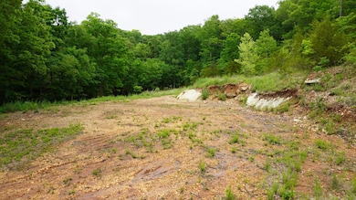 Lots 4 5 6 & Acreage Loch Dr, Kimberling City, MO 65686 - photo 5