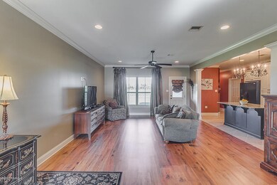 2417 Palmland, new iberia-7878