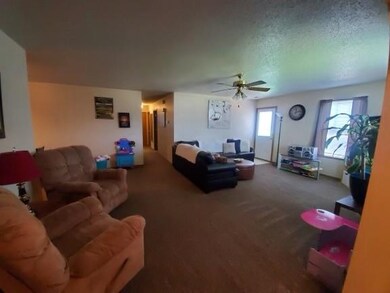 Spacious living room