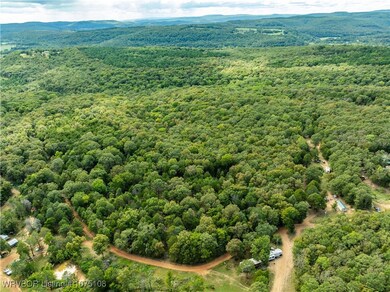 TBD Dry Hill Loop, Chester, AR 72934 - photo 6