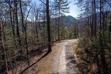 00 Jarrett Hills Rd, Dillsboro, NC 28779 - photo 7