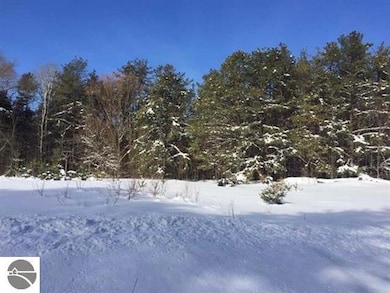 Parcel F3A Jackson Creek Rd, Kingsley, MI 49649 - photo 3