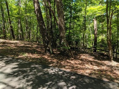 0 Whitney Blvd unit 7 3524185, Lake Lure, NC 28746 - photo 3