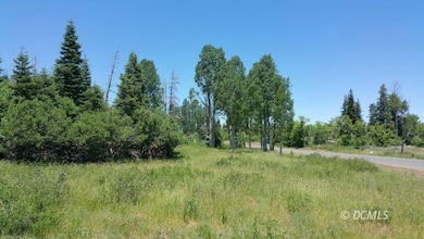 Lot & Road