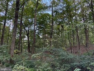 0 Cubby Hole Lane - Lot 25 unit WVMO2006624, Berkeley Springs, WV 25411 - photo 7