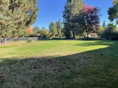back yard 1