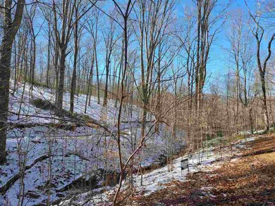 1 Beech Tree Ln, Rockfish, VA 22920 - photo 6