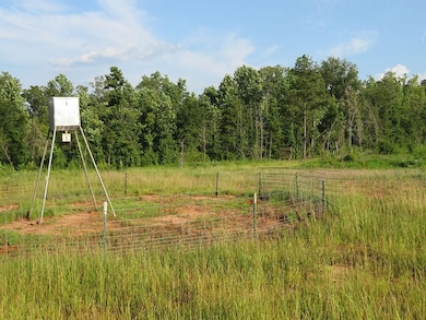 0 County Line Rd, Lumpkin, GA 31815 - photo 4