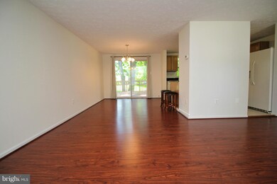 13032 Gershwin Way, Silver Spring, MD 20904 - photo 5